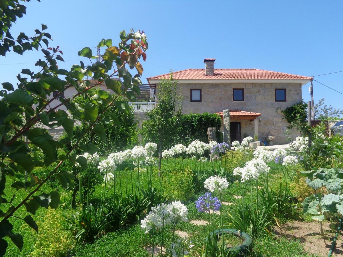 Maison d'hôtes Bernardes House à Castelo de Paiva Extérieur photo
